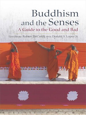 cover image of Buddhism and the Senses